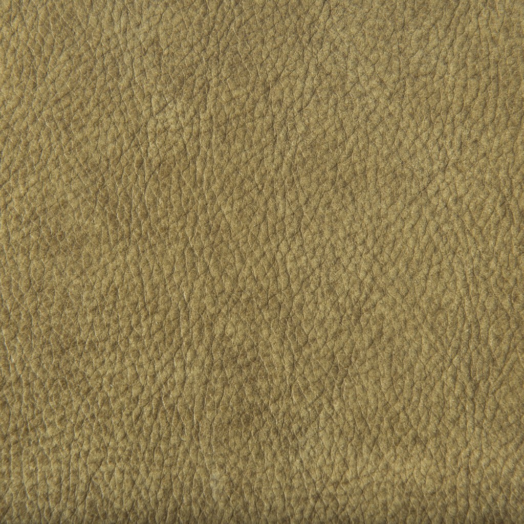 Sierra Walnut